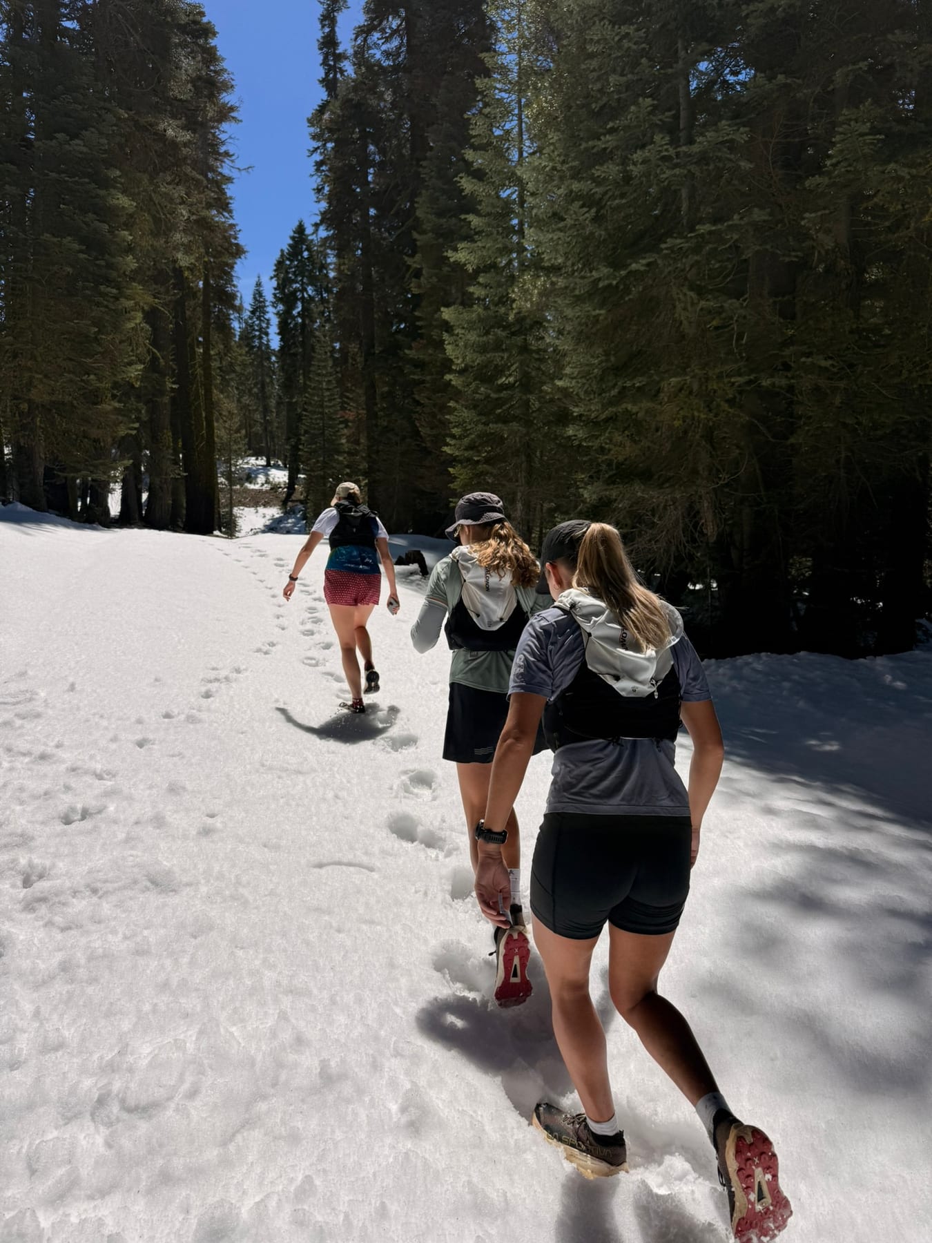 Snowy trail running near Truckee