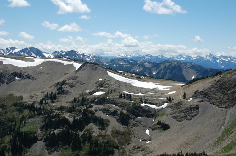 Olympic alpine trail